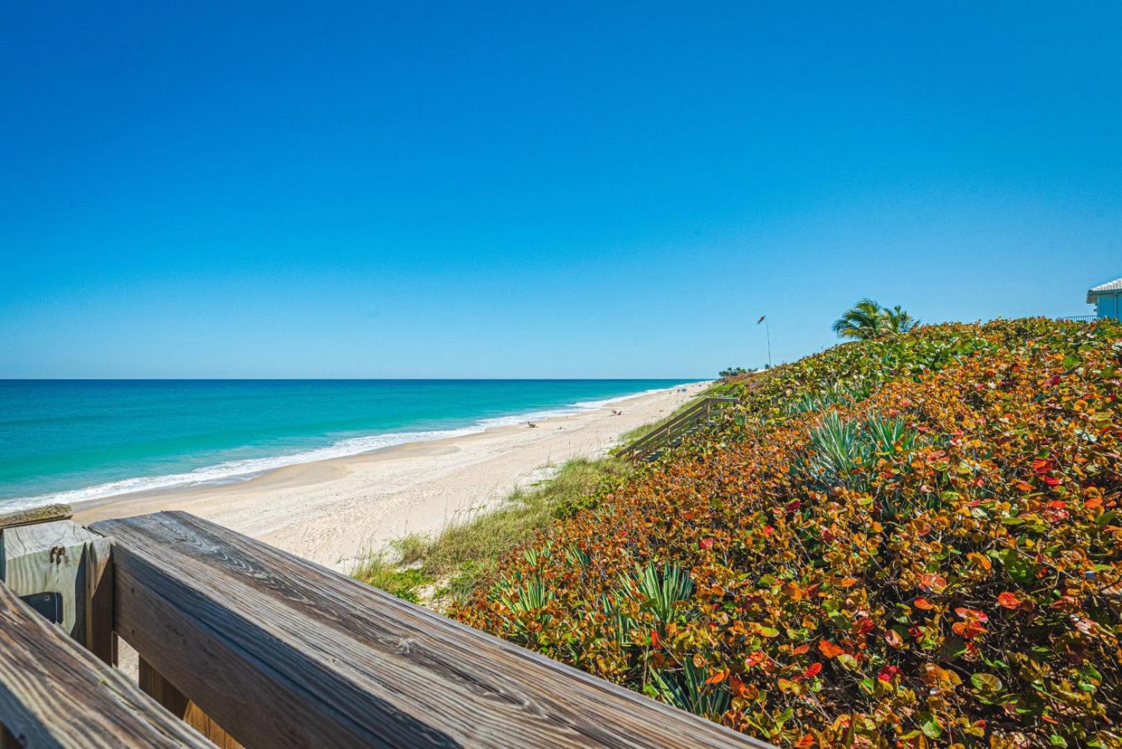 Tranquility Seahorse Suite - Oceanfront Paradise! Melbourne Beach Zewnętrze zdjęcie